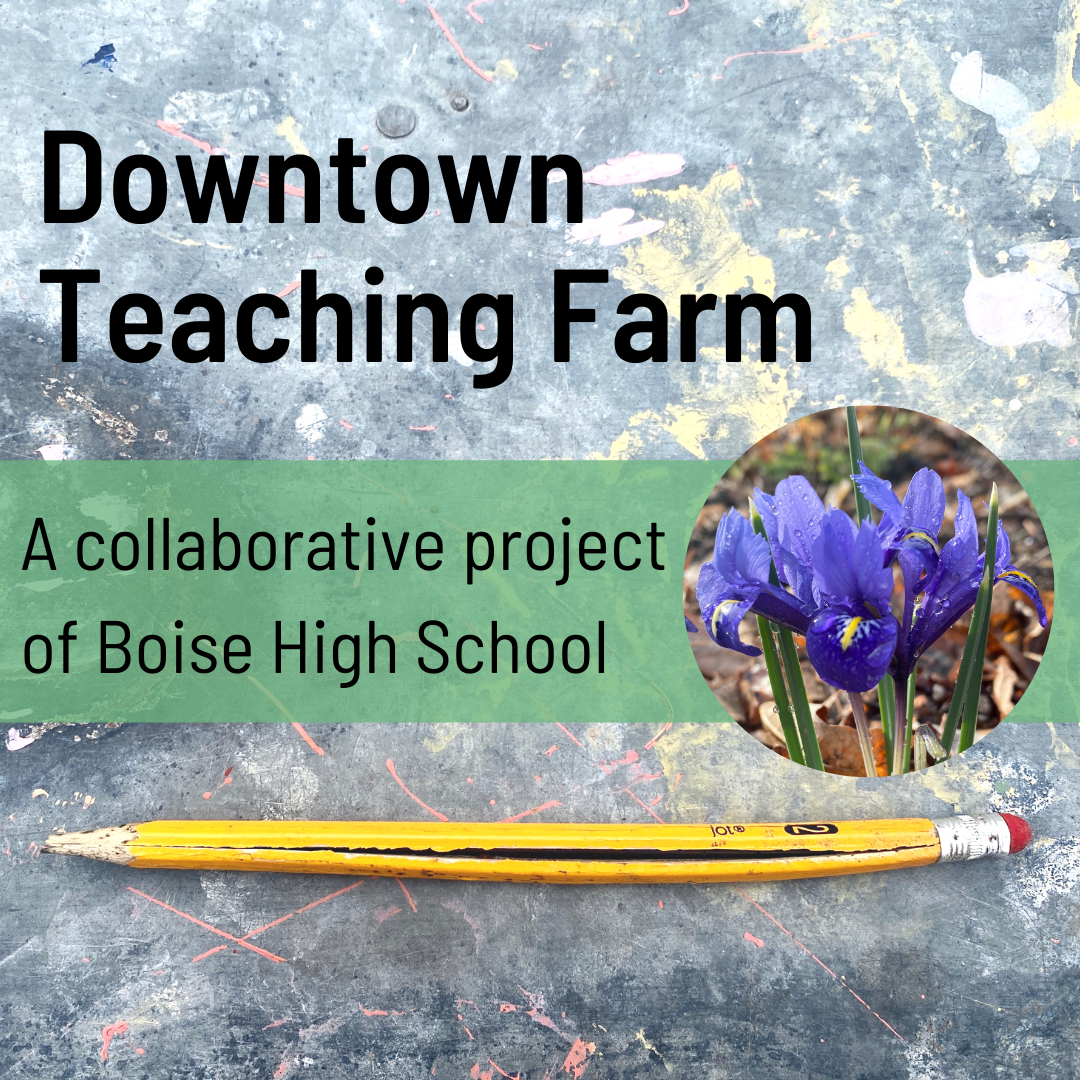 Downtown Teaching Farm: A collaborative Project of boise High School