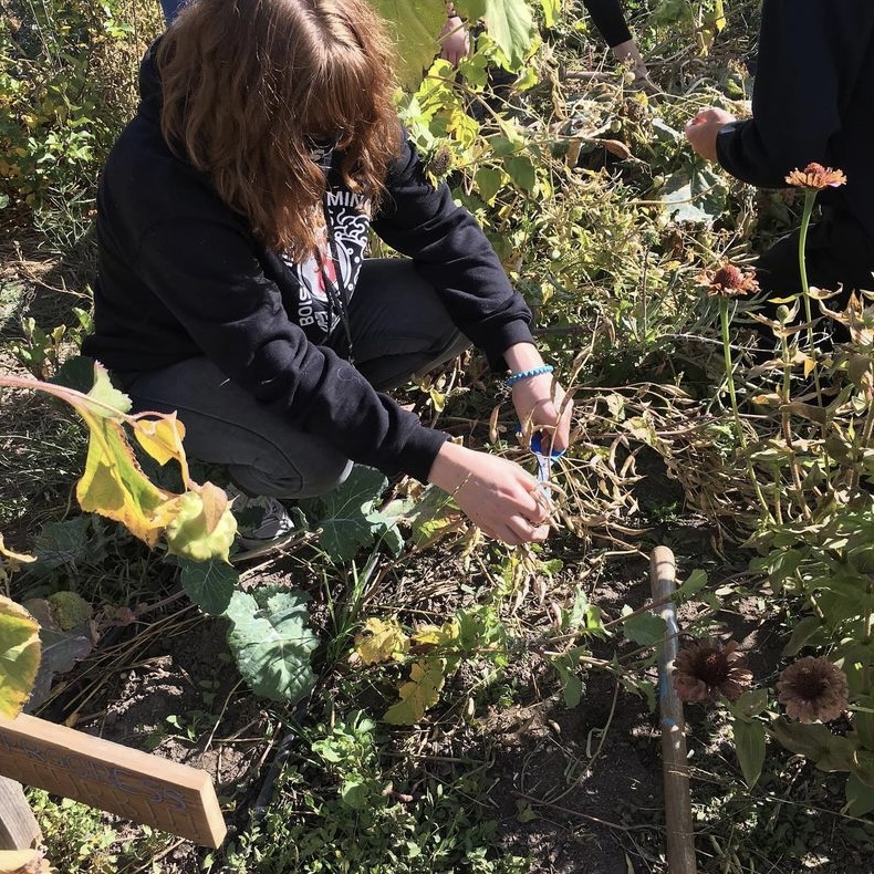 Students taking to-go soil boxes, October 2020 