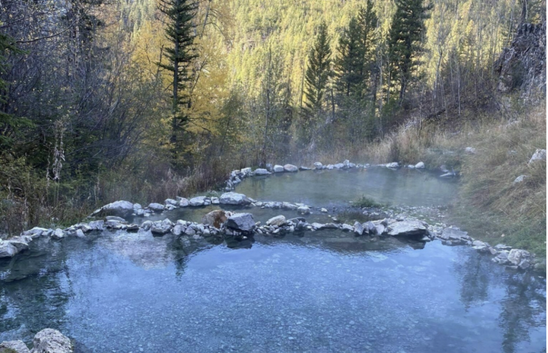 three hot spring pools surrounded by pine trees