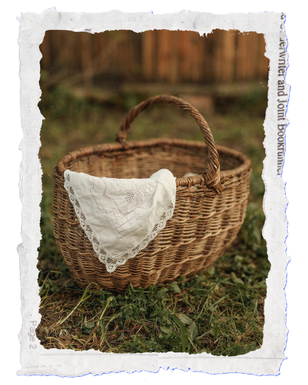 basket in the grass